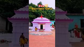 MAA BHATTARIKA TEMPLE song music live sidhishnabindhani akhituni maabhattarikabhajan love 👏 [upl. by Samale290]