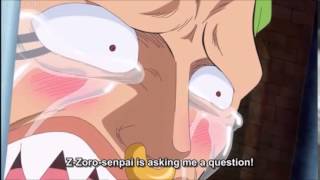 One Piece Bartolomeo talks to Zoro [upl. by Venola]