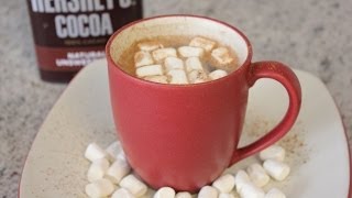 Best Homemade Hot Chocolate Recipe [upl. by Knick438]