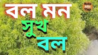 Bol Mon Sukh Bol  বল মন সুখ বল  Hello Afia Vlogs  2024 [upl. by Lallage]