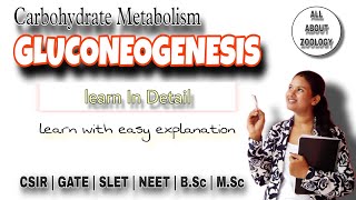 Carbohydrate Metabolism GLUCONEOGENESIS  Glucose Synthesis Pathway  Function  Biochemistry [upl. by Warring515]