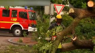 Zahlreiche umgestürzte Bäume durch Sturm  Feuerwehr im Dauereinsatz [upl. by Eiznik]