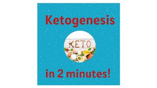 Ketogenesis and Ketones in 2 minutes [upl. by Rabkin]