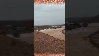 heavy Floods hit Zagora region Morocco morocco shorts [upl. by Flem]