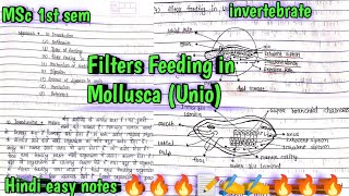 Filter Feeding in Mollusca ✨✨🔥🔥msc zoology 1st semester invertebrate 📝📝hindi easy notes 📝📝✍️✍️✍️ [upl. by Anilesor600]