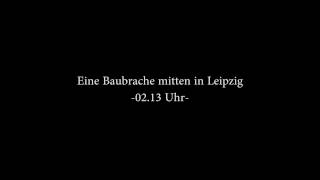 Vogelgezwitscher  Nachtigall  Eines Nachts in Leipzig [upl. by Nyvets]