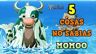 ONE PIECE 5 Cosas QUE NO SABIAS DE MOMOO l Curiosidades [upl. by Suicul592]