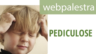 Webpalestra  Pediculose [upl. by Lered]