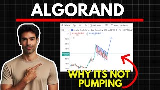 Why ALGORAND is not Pumping  Algorand Price Prediction [upl. by Neural]