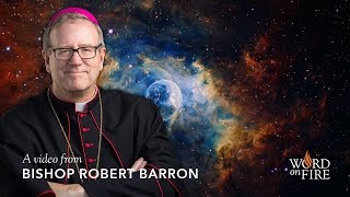 Bishop Barron on Fr George Coyne and the Fertile Cosmos [upl. by Enala]