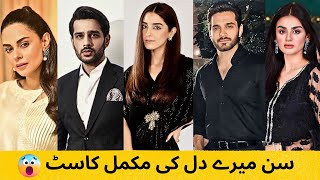 Sunn Mere Dil Cast Complete Details Age Real Names  Sun Mere Dil Actors Details Wahaj Ali Maya Ali [upl. by Dnalyram]