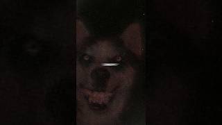 قصة smile dog الحقيقية 😨 [upl. by Werra]