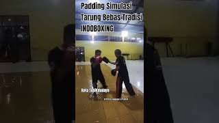 Pad Work Drills indoboxing tarungbebas [upl. by Anirav]