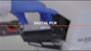 Digital PCR dPCR [upl. by Valle]