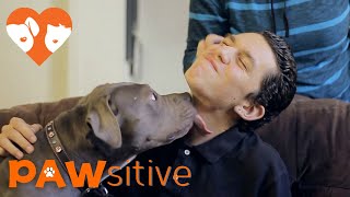 Autistic Boy Finds The Meaning of Love Through Pit Bull  PAWsitive 🧡 [upl. by Adalard]