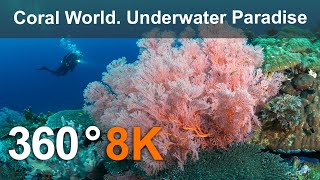 Coral World Underwater Paradise Philippines 360 underwater video in 8K [upl. by Akihc]