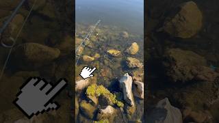 CAUGHT A Fish INSTANTLY 0002 Seconds 🎣🐟 shorts fishing [upl. by Bodnar]