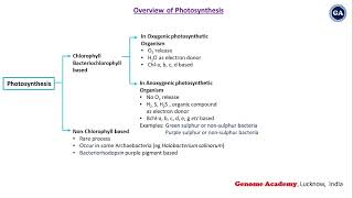 Photosynthesis  Chlorophyll  Bacteriochlorophyll  Bacteriorhodopsin  CSIR  IITJAM  GATE [upl. by Enirtak]