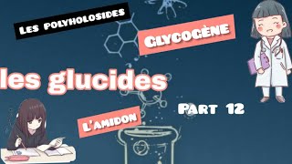 les glucides  les polyholosides part 12 [upl. by Pfeifer904]