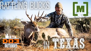 Hunting TEXAS Whitetails In The Rut Rattling In Bucks EVERYWHERE [upl. by Emeline]