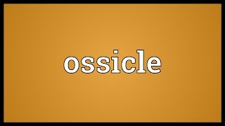 Ossicle Meaning [upl. by Eiral146]