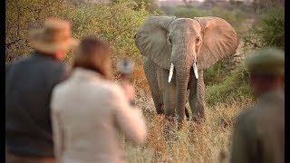 Ruaha National Park  Tanzania  Overview [upl. by Rusel762]