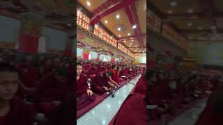 New Sakya Monastery Katorwa rinpoche bodhgaya shortvideo buddhism [upl. by Motteo620]