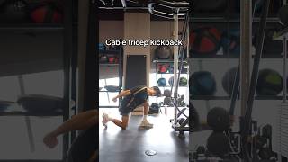 Best Way to do Cable Tricep Kickbacks IMHO [upl. by Ikkaj742]