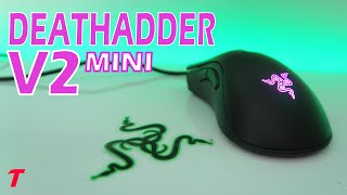 Razer DeathAdder V2 Mini Review  A better Viper Mini [upl. by Potter912]