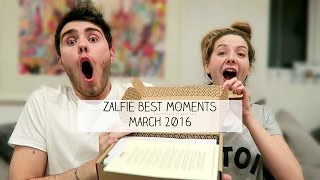 Zalfie Best Moments  MARCH 2016 [upl. by Bloom]