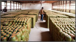 Cosechando Las Frutas Exóticas Más Deliciosas Del Mundo [upl. by Mad]