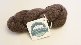 Dyepot Weekly 101  Overdyeing a Natural Dark Brown Wool Yarn [upl. by Ztirf]