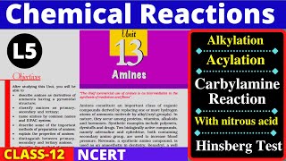 L5 Chemical Reaction of Amines Acylation of Amines  Hinsberg Test Carbylamine Reaction  Class 12 [upl. by Gombach141]