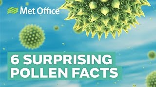 6 Surprising facts about pollen [upl. by Llimaj]