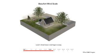 Beaufort Scale Wind Speed Example [upl. by Karlene]