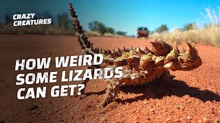 The Top 10 Weirdest Lizards on Earth [upl. by Ainoda856]