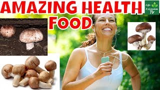 AMAZING HEATH FOOD Agaricus Blazei Murill Mushroom Health Benefits [upl. by Asiluj854]