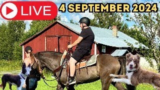 LIVE MED NICKLAS TARVAINEN 4 SEPTEMBER 2024 [upl. by Ardnajela]