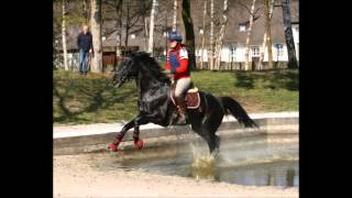 Impressionen Trakehner Perspektivlehrgang Vielseitigkeit 2016 [upl. by Seibold]