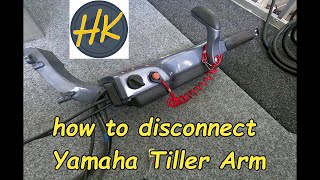 How to disconnect Multifunction Yamaha Tiller  EP 5 Building the ULTIMATE QUINTREX 420 BUSTA [upl. by Leisam]