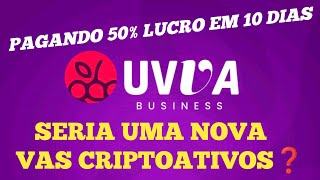 Uva Business 👉 Grana Na Conta  Mais50 RETORNOU Do Investimento 🔥 [upl. by Yalhsa]