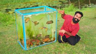 Beautiful Aquarium Made From Nature  തോട്ടിലെ സാദനങ്ങൾ ഉപയോഗിച്ച് ഉണ്ടാക്കിയ അക്വാറിയം  M4 Tech [upl. by Armbruster]