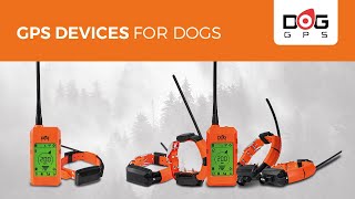 GPS tracking devices for dogs  Dogtrace [upl. by Marutani]