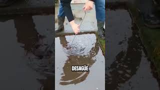 También hay sensores instalados en los desagües😮 shortsvideo [upl. by Emawk]