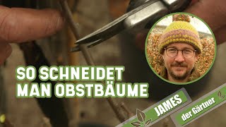 Der Schnitt von Apfel und Birne ganz einfach erklärt I James der Gärtner [upl. by Theurich75]