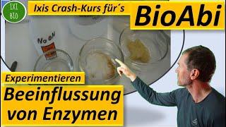 Enzyme 6 Experiment zur pHAbhängigkeitSchwermetallhemmung  Anwendungsaufgaben  Fit für´s BioAbi [upl. by Locke]