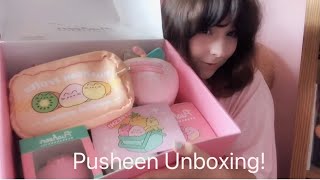 Summer Pusheen 2024 Box [upl. by Leisha]