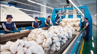 How Millions of Cotton Sheets Are Made in a Factory The Full Process  Process Insider [upl. by Doscher]