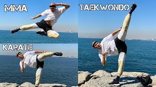 Amazing kicks MMA Karate Taekwondo [upl. by Baron]