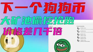 下一个DOGE？PEP一年走完狗狗币十年的路， 矿池算力和狗狗币一样，价格差了几千倍。买不起一百万个狗狗币，现在还能买得起一百万个 PEP [upl. by Garrison883]